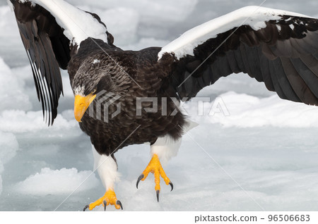 Shiretoko winter 96506683