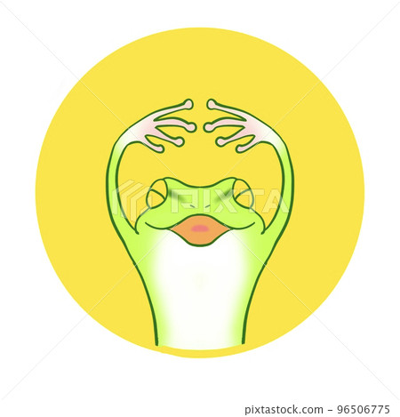 Expressive cute frog illustration icon Expressive cute frog illustration icon 96506775