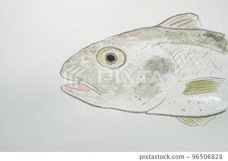 A large collection of fish from the world of fish in Japan (watercolor edition) A large collection of fish from the world of fish in Japan (watercolor edition) 96506828