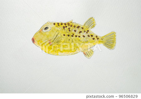 A large collection of fish from the world of fish in Japan (watercolor edition) 96506829