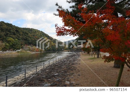 Sightseeing spots in Japan: Uji River flowing through Uji City and autumn foliage seen from Nakanoshima 96507154