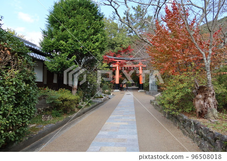 日本神社:京都府宇治市宇治上神社入口鳥居遠景 日本神社:京都府宇治市宇治上神社入口鳥居遠景 96508018