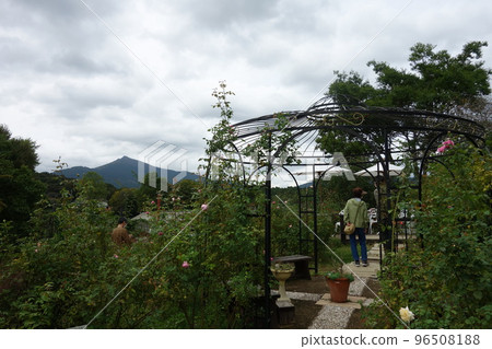 gardening gardening 96508188