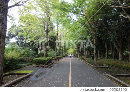 笠松運動公園 笠松運動公園 96508590