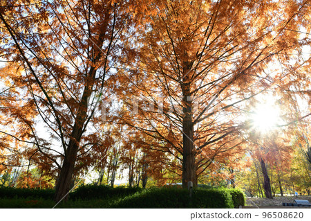 A place to relax <Fujikawa Craft Park> A place to relax <Fujikawa Craft Park> 96508620