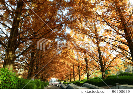 A place to relax <Fujikawa Craft Park> A place to relax <Fujikawa Craft Park> 96508629