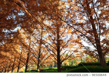 A place to relax <Fujikawa Craft Park> A place to relax <Fujikawa Craft Park> 96508644