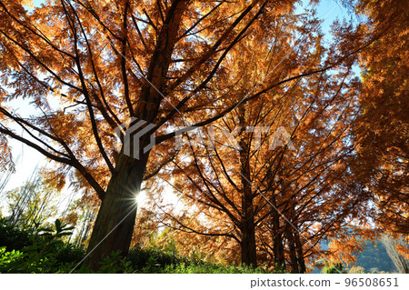 A place to relax <Fujikawa Craft Park> A place to relax <Fujikawa Craft Park> 96508651