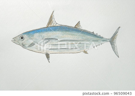 日本魚界大魚集(水彩版) 日本魚界大魚集(水彩版) 96509043