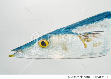 日本魚界大魚集（水彩版） 96509524