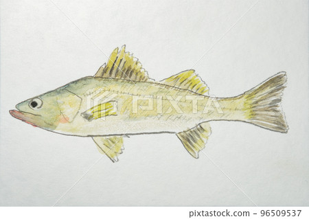 日本魚界大魚集(水彩版) 日本魚界大魚集(水彩版) 96509537