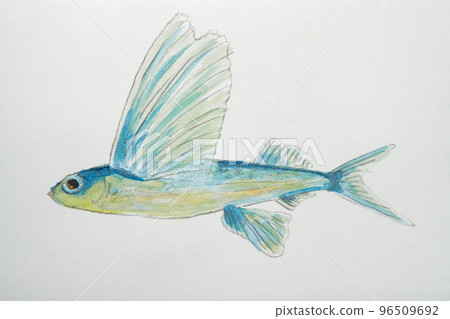 日本魚界大魚集（水彩版） 96509692