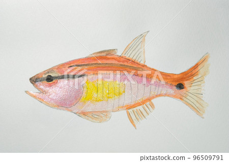 日本魚界大魚集(水彩版) 日本魚界大魚集(水彩版) 96509791