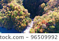 黑部峽谷的秋葉無人機航拍1 96509992