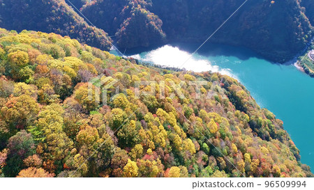 黑部峽谷的秋葉無人機航拍3 96509994