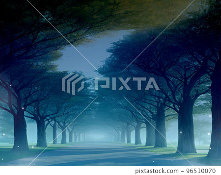 風景,林蔭道,夜晚 風景,林蔭道,夜晚 96510070