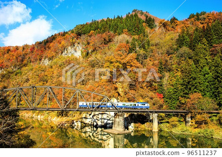 只見線專列“Oza Toro Observation Train”穿過秋天的只見川第 4 號橋(福島縣金山町,11 月) 只見線專列“Oza Toro Observation Train”穿過秋天的只見川第 4 號橋(福島縣金山町,11 月) 96511237