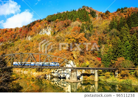 Tadami Line Special Train "Oza Toro Observation Train" Crossing the No.4 Tadami River Bridge in Autumn (Kanayama Town, Fukushima Prefecture, November) 96511238