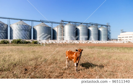Grain elevator. Metal grain elevator in agricultural zone. Agriculture storage for harvest. Grain elevators on green nature background. Exterior of agricultural factory. Nobody. Grain elevator. Metal grain elevator in agricultural zone. Agriculture storage for harvest. Grain elevators on green nature background. Exterior of agricultural factory. Nobody. 96511340