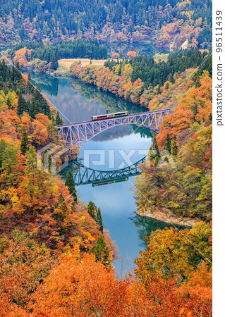 Tadami Line Train "Kiha E120-2 + Type Kiha E120" crossing the first Tadami River bridge in autumn (Mishima Town, Fukushima Prefecture, November) 96511439