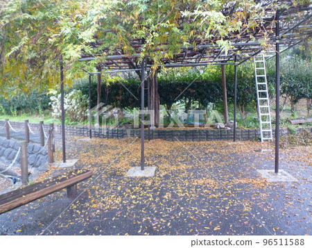 知多郡阿桂町上吉池 知多郡阿桂町上吉池 96511588