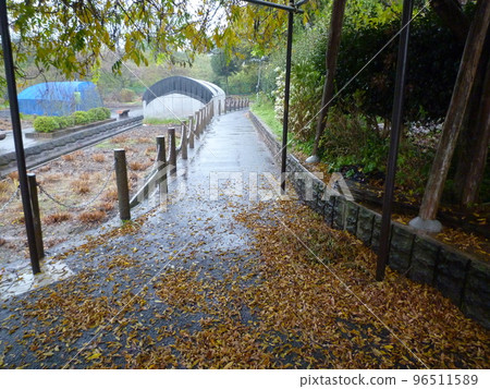 Kamiyoshi Pond, Agui-cho, Chita-gun Kamiyoshi Pond, Agui-cho, Chita-gun 96511589