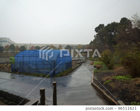 Kamiyoshi Pond, Agui-cho, Chita-gun Kamiyoshi Pond, Agui-cho, Chita-gun 96511621