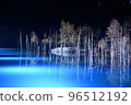 Blue pond light up 96512192