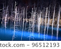Blue pond light up 96512193