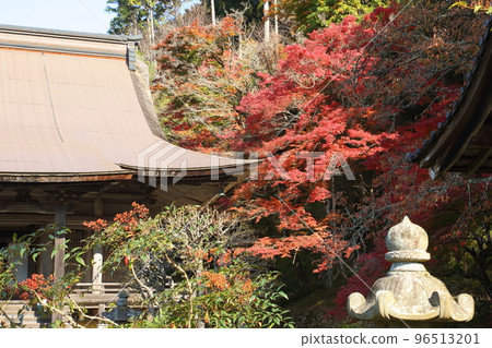Katsumirinji秋葉 Katsumirinji秋葉 96513201