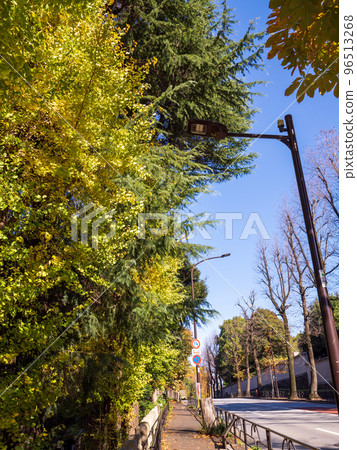 11 月東京的秋葉和藍天 11 月東京的秋葉和藍天 96513268