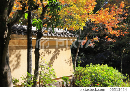 東淵江庭園（足立區尾谷田） 96513434