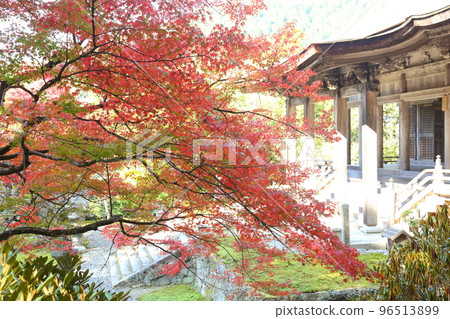 Katsumirinji秋葉 96513899