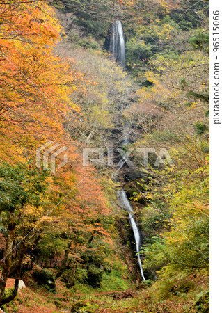 Saruo Falls (Kami-cho, Mikata-gun, Hyogo Prefecture) Saruo Falls (Kami-cho, Mikata-gun, Hyogo Prefecture) 96515066