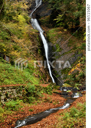 Saruo Falls (Kami-cho, Mikata-gun, Hyogo Prefecture) Saruo Falls (Kami-cho, Mikata-gun, Hyogo Prefecture) 96515067