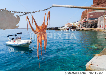 sun dried octopus sun dried octopus 96515364