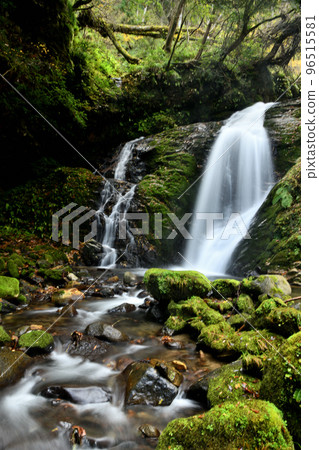 Kaname Falls (Kusube Valley) [Kusube, Ojiro-ku, Kami-cho, Mikata-gun, Hyogo Prefecture] 96515581