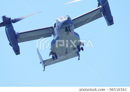 Osprey flying in the blue sky 96516561