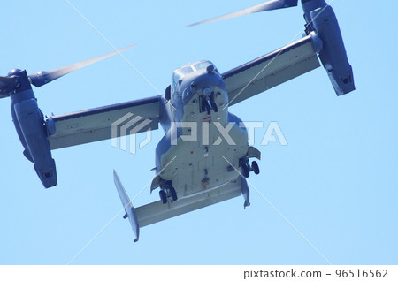 Osprey flying in the blue sky Osprey flying in the blue sky 96516562