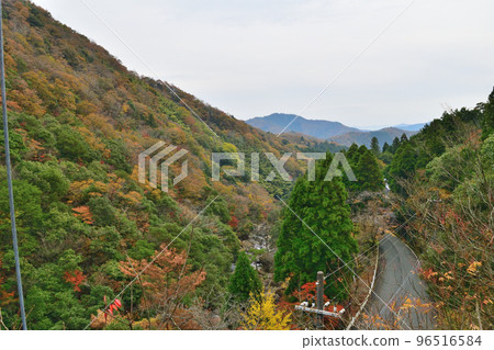 從京都府福知山市大江町新童寺橋眺望 從京都府福知山市大江町新童寺橋眺望 96516584