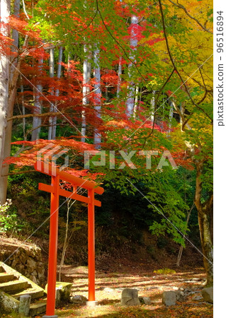 童子丹波筱山 96516894