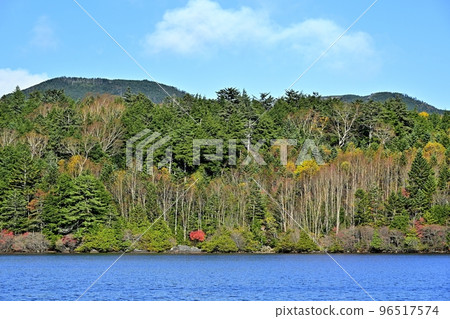 白駒池紅葉湖畔林 96517574