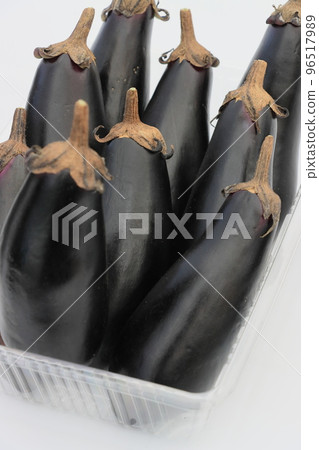 Eggplant eggplant Eggplant eggplant 96517989