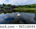 Carp in Shirotori Park 96518044