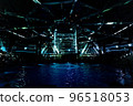 Dolphin show (Shinagawa) 96518053
