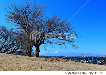 從港北新城月出松公園出發的富士山和丹澤山脈 從港北新城月出松公園出發的富士山和丹澤山脈 96518198