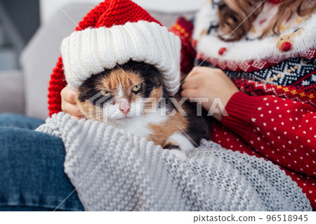 Sullen grumpy multicolored Cat in Santa Hat. Stock Photo 96518945 PIXTA