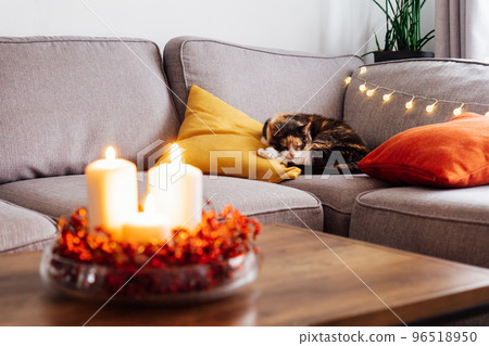 Multi Colored relaxed sleeping cat lying on the bright cushions on a gray sofa. Christmas cosy home mood. Winter, festive Xmas holidays. Symbol of the year. Selective focus. Copy space. Multi Colored relaxed sleeping cat lying on the bright cushions on a gray sofa. Christmas cosy home mood. Winter, festive Xmas holidays. Symbol of the year. Selective focus. Copy space. 96518950