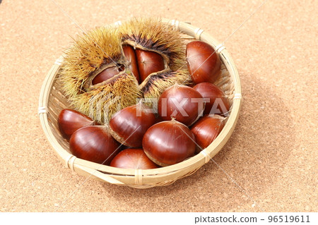 魷魚中的大棕色栗子 96519611