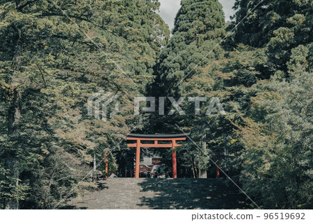 To Kirishima Shrine 96519692